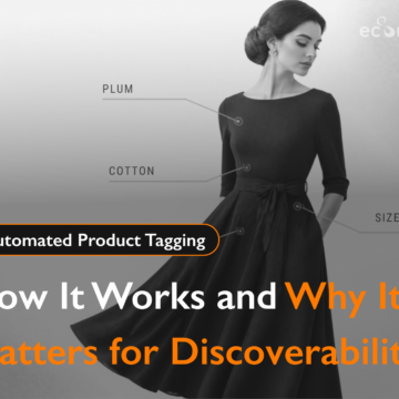 Ai-model-blog-banner Automated Product Tagging
