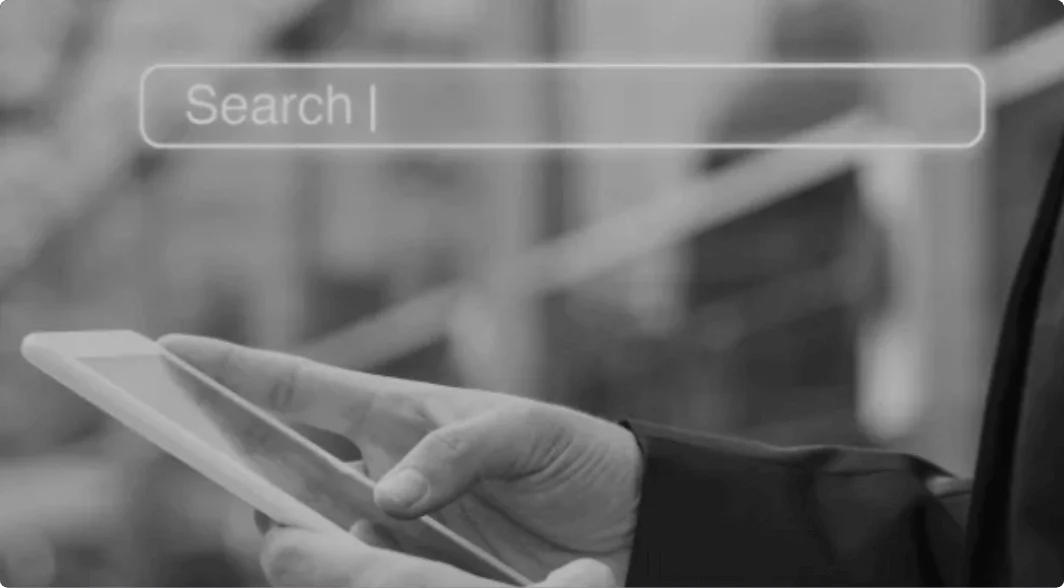 Optimized Search and Visibility